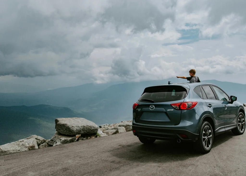 Campaign insights and customer feedback